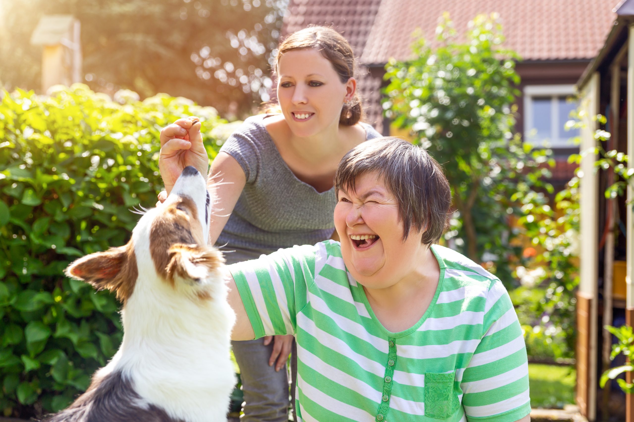 femme ayant une déficience intellectuelle avec une deuxième femme et un chien de compagnie, apprentissage du concept par la vie assistée par animal